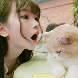 qq头像女可爱仙气大生肖