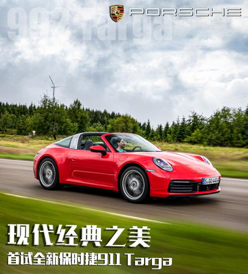 保时捷911美女头像撞树