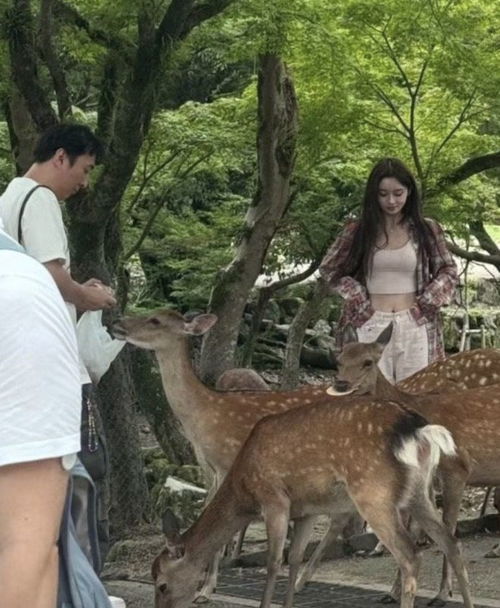 第19段恋情王思聪和年轻女子逛街后进餐,女方颜值不输21岁懒懒