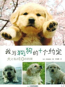 我和狗狗的十个约定
