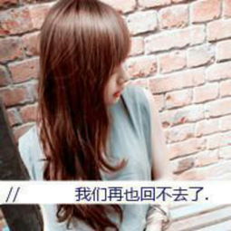新不了情