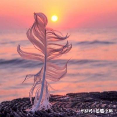 adobephotoshop专业图像处理得力助手ps全版本下载安装