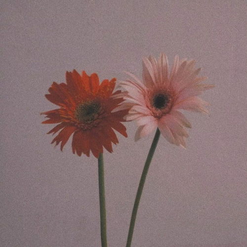 交换心事吗
