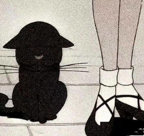 小仙女用的动漫女头