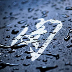 用你的姓氏当头像,100个百家姓壁纸,快来找找你的