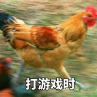 奔跑的鸡表情包微信头像图片大全
