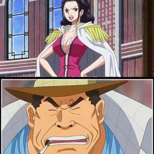 海贼王实力划分