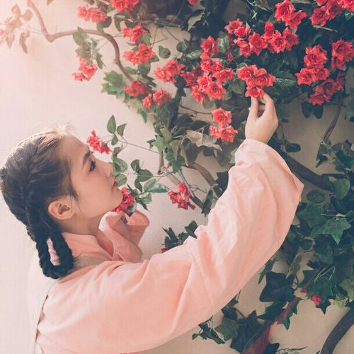 唯美玫瑰花古风清新淡雅个性欧美范堆糖,美好生活研究所