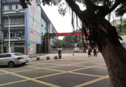 泸州14岁女孩留下6页日记后自杀qq时间到了,我该走了