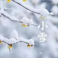 小雪忽至二十四节气之小雪