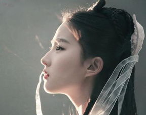 盘点古装侧颜最漂亮的女星,郑爽垫底,而她像是画中走出来的仙子