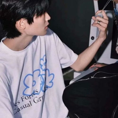 是你们吵着要的狼尾男生头像