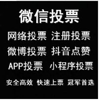 微信投票什么价格人工拉票怎么收费