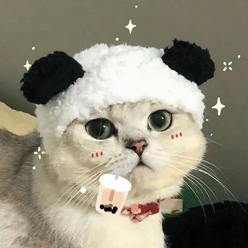 超爱这组气质珍藏版头像