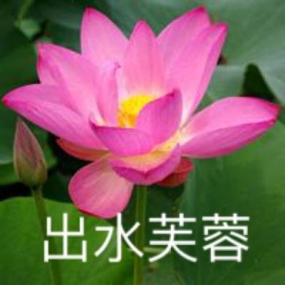 澳门澳门期期中