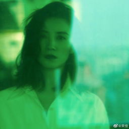 宋佳穿白衬衫气质出众