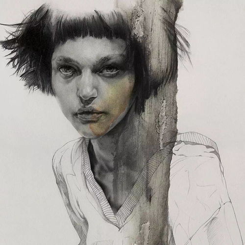 用素描也可以画的这么美