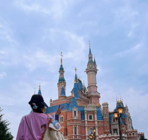 刘诗诗发微博晒迪士尼游玩照满满少女心