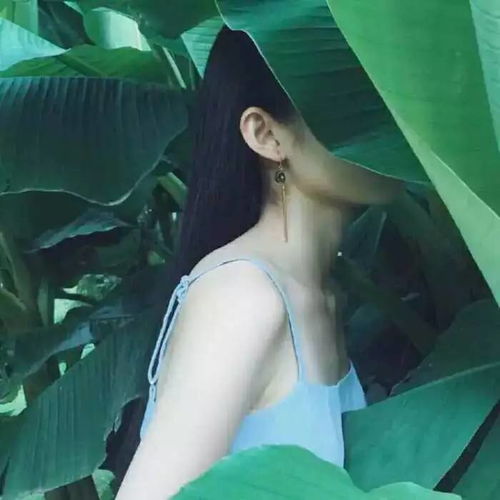 青春不常在,抓紧谈恋爱