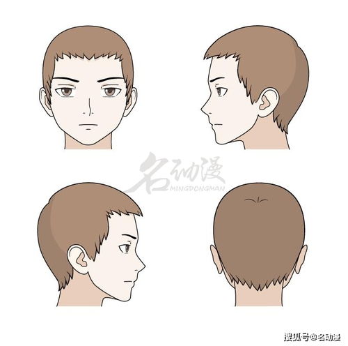 人物发型绘画有哪些技巧