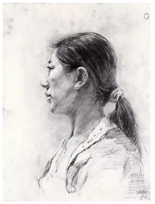 黑龙江美术高考素描头像基础课程头部肌肉解析