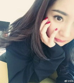 明星人设大盘点演技最佳赵丽颖吃货第一热巴高情商少女杨幂老干部靳东耿直少女郑爽