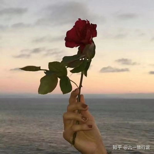 远方很远,步履不停,要去的地方多晚都有光