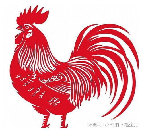 夫妻中有一人属鸡,后代多福,子女必成大器,是栋梁之才