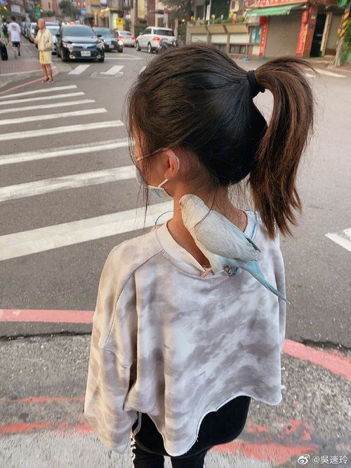 曹格老婆晒女儿grace的背影照,并配文写道天气太好遛鸟去