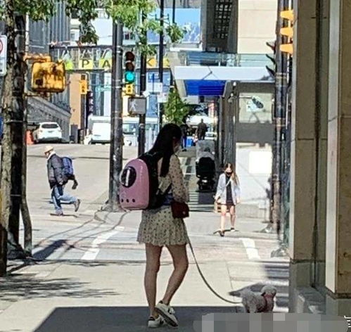 组图网友温哥华偶遇54岁王祖贤独自遛狗赞其肤白温柔似少女