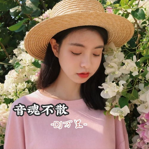 立体环绕dj版dj万里高音质在线试听立体环绕dj版歌词歌曲下载酷狗音乐