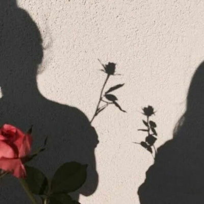 花朵头像唯美图片女性中年人微信头像首选