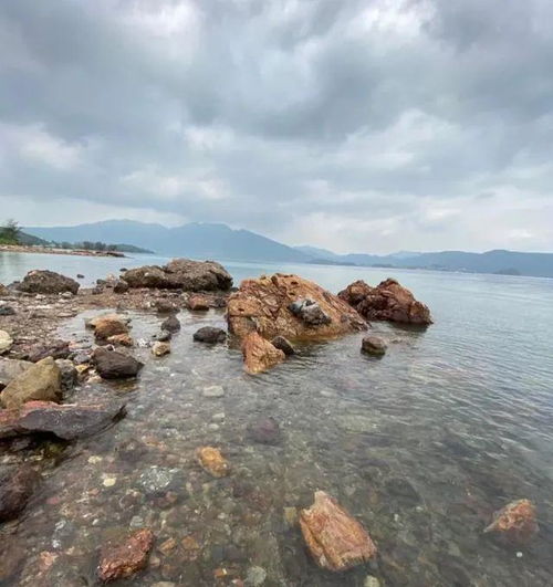 能赶海,还有美丽的海景,深圳的低调海岛,还真没多少人知道