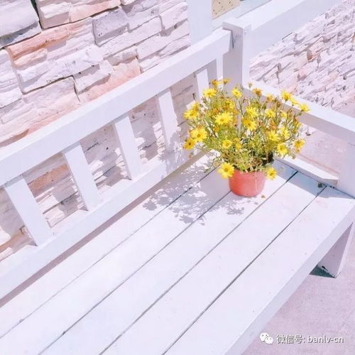 学会转型