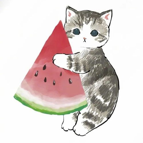 小猫咪消夏日常插画,怎么看起来都不开心