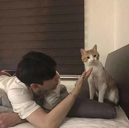 男女生背影侧脸半脸局部头像第十六波
