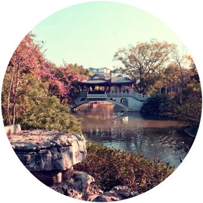 最新好看圆形风景头像唯美有意境至今我都不知道什么是爱情