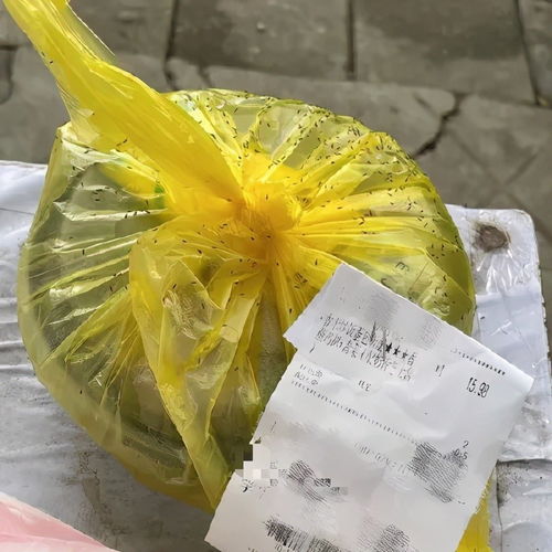 紧急扩散顺德人尽量不要穿黄色绿色银灰色衣服出街否则