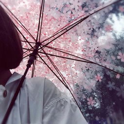 网图头像女小清新打结