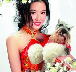 仙女女生头像赵丽颖