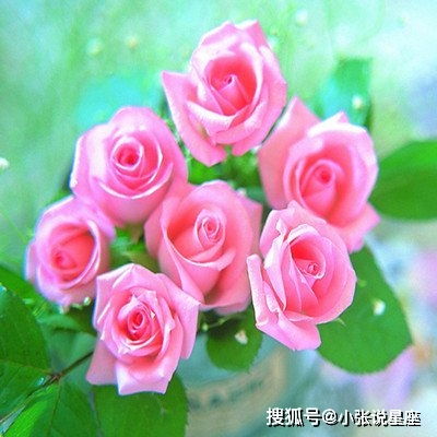 年龄越大越迷人的3生肖女,不仅有丈夫宠爱,晚年生活幸福美满