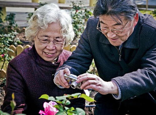 66岁大爷坦言搭伙3年我终于明白了,女人晚年为何非要再找老伴