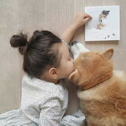 当混血小萝莉遇到萌宠柴犬,这画风有点暖