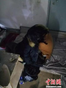 15岁女孩赌气离家出走躲楼梯间三晚被警民合力寻回