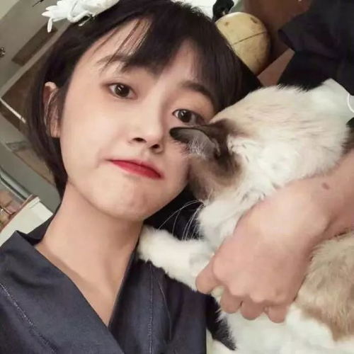女生头像与句子你羡慕的生活都是你没熬过的苦