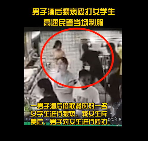 干得漂亮男子猥亵殴打女生民警抱摔制服