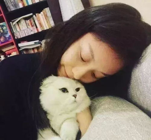 谁抢了你的爱豆胡歌家的小妖精太磨人