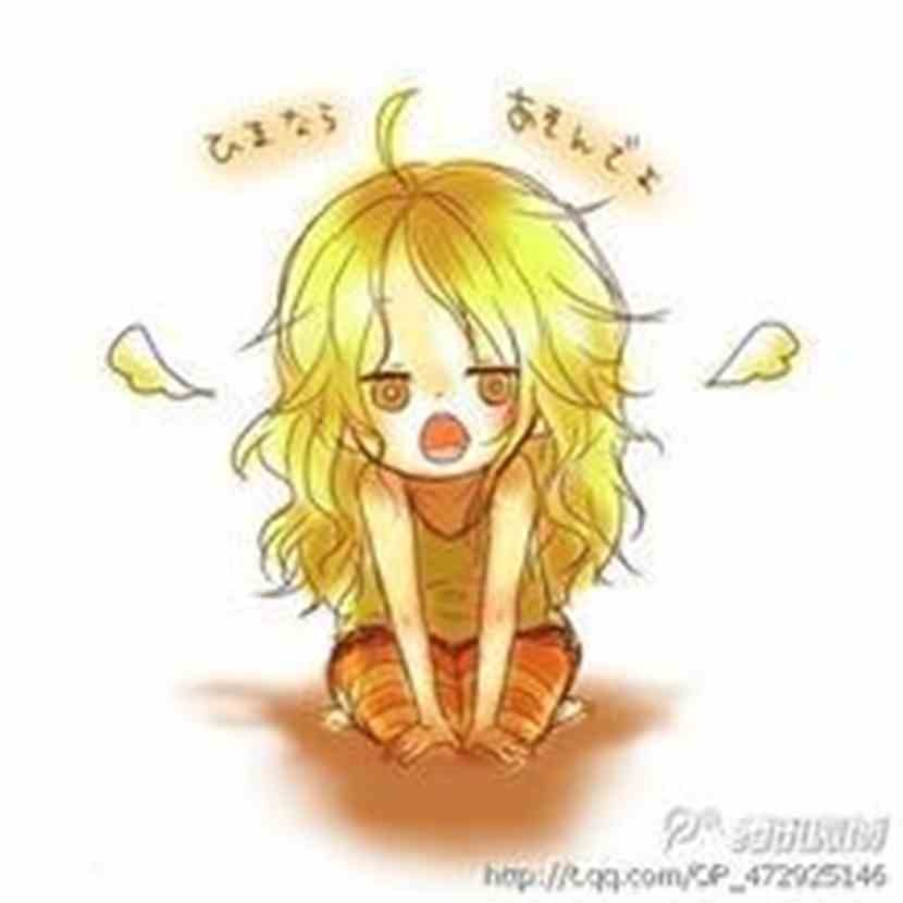 美女凯米海贼之万能果实