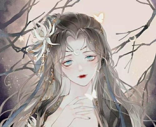古宠意外穿越,她被人打晕丢在婚房,看到休书和银票,眼冒金光