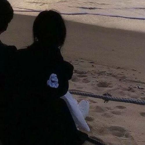 无标题